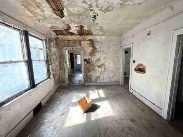 17257 bloom (22)_edited.jpg